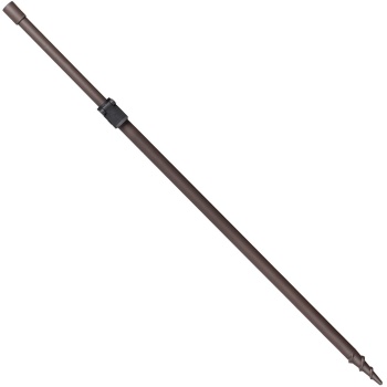 sumba vars brain.jpg