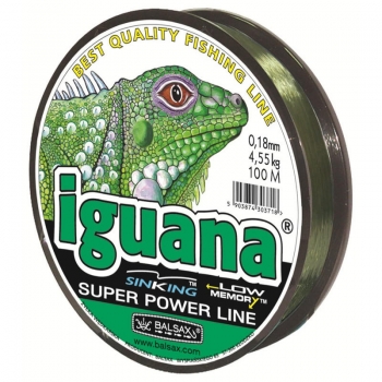 Balsax_iguana.jpg