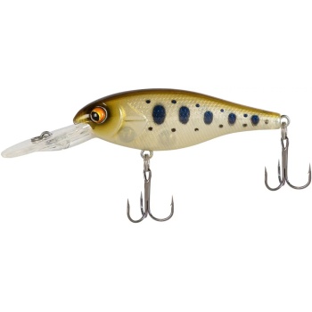X-Fish Beave 081.jpg