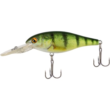 X-Fish Beave 289.jpg