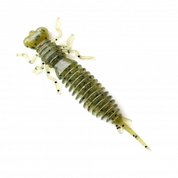 larva 001-1.jpg