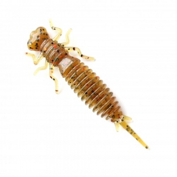 larva 003.jpg