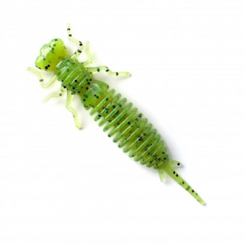 larva 022.jpg