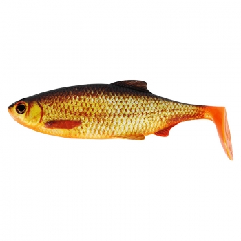 Võdik WESTIN Ricky the Roach Shadtail 18cm 85g Real Rudd lahtine 1tk