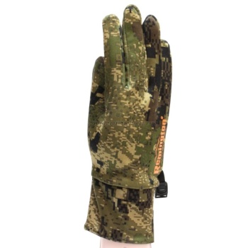 rm1622 green forest.jpg