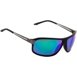 Очки Select FSN1-MBB-GR (ASL покрытие) Polarized