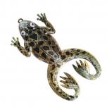 Võdik TRAPER Natural frog 60mm 6g värv nr.4 5tk/pk 61258