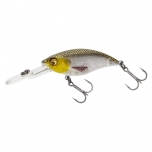 Voobler WESTIN BuzzBite Crankbait 6cm 10g Suspending 3D Gold Headlight